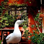 Hotel Sebnem