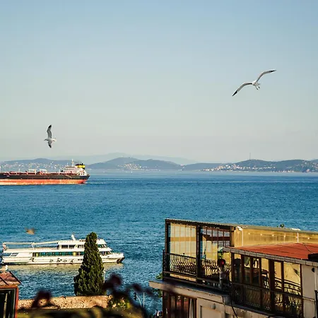 Sebnem 3*