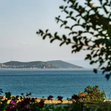Sebnem Istanbul