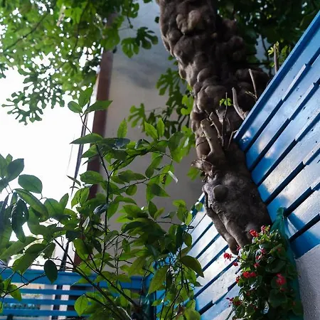 Otel şebnem 3*