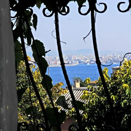 şebnem Otel 3*